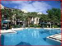 Coral Springs Apartment